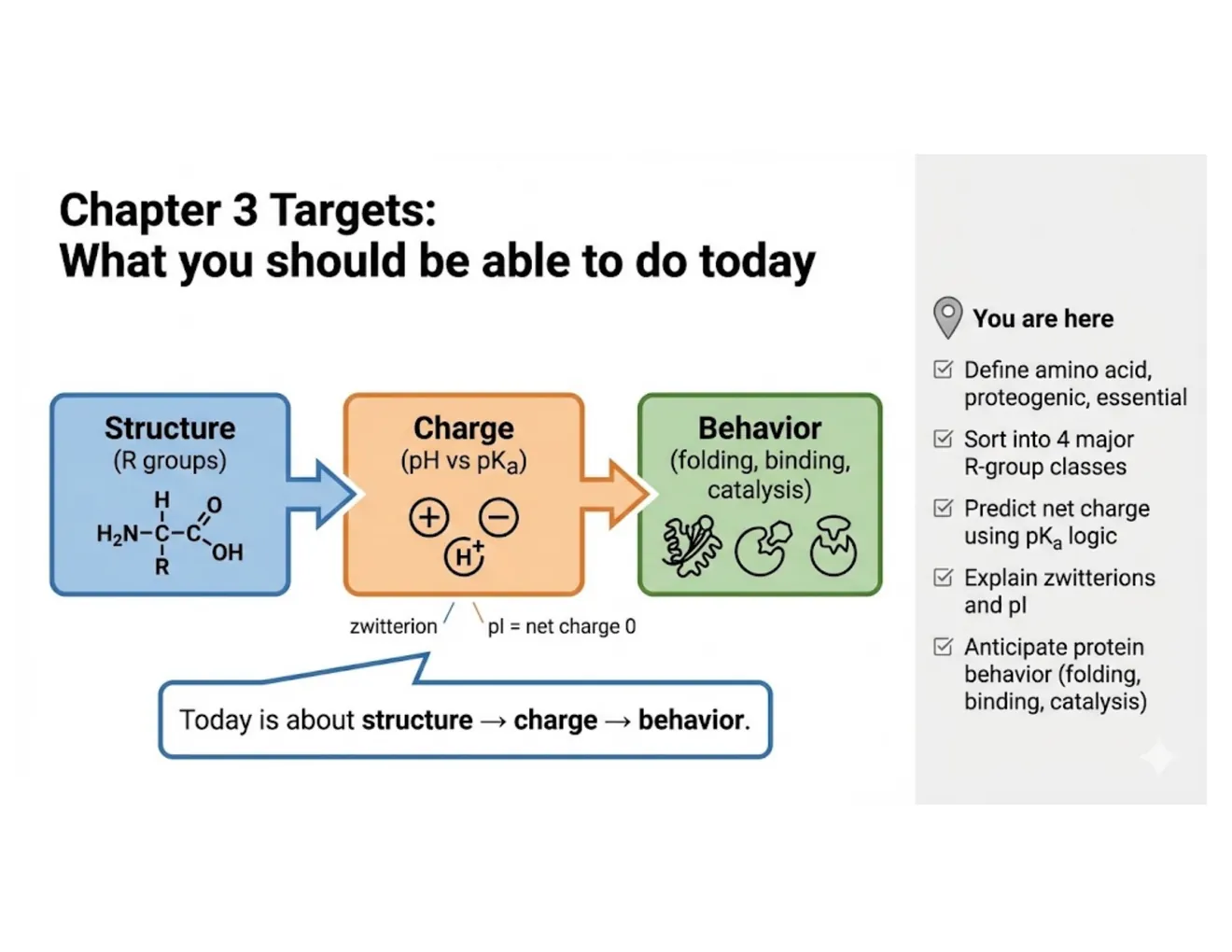 A three-panel roadmap showing the chapter's logic: an R group's structure sets its charge, and charge sets its behavior.