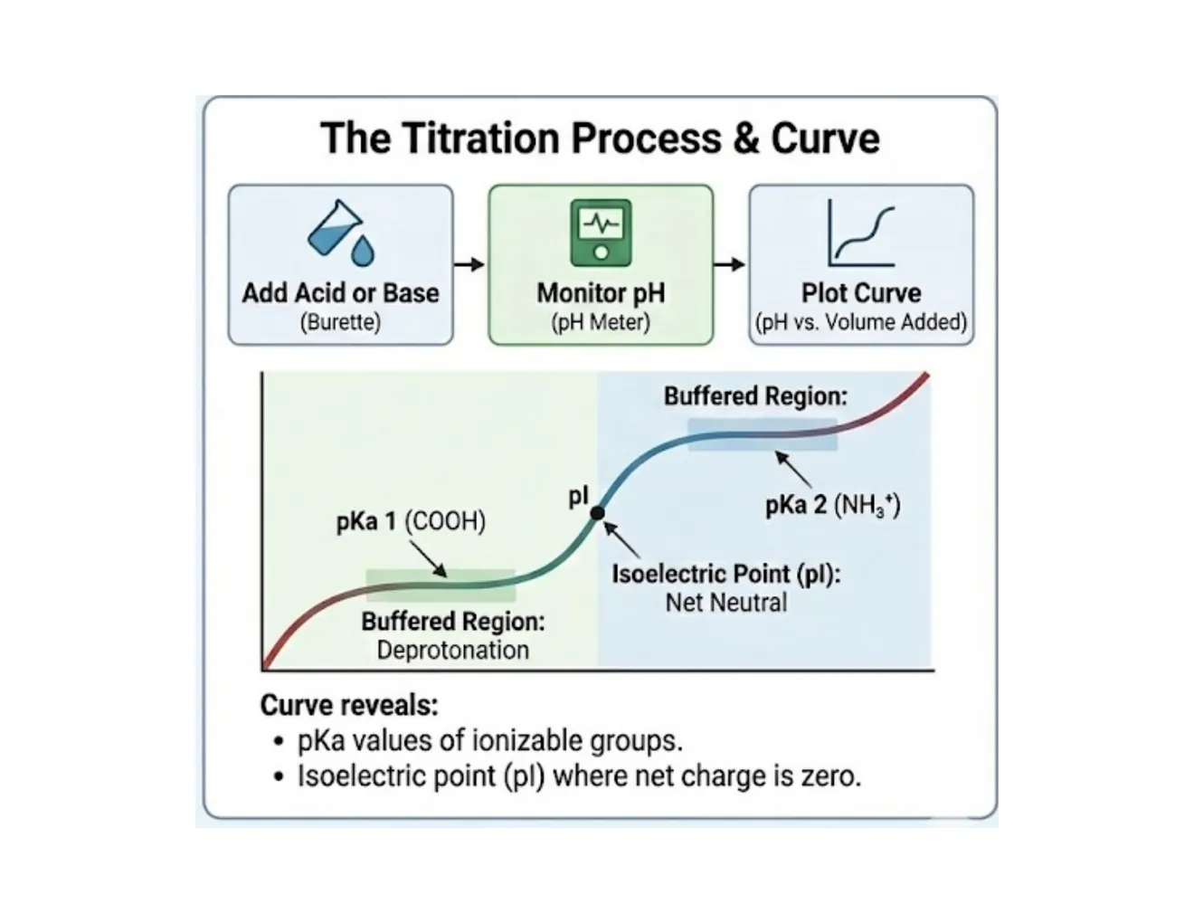 A three-step process diagram (add base → monitor pH → plot curve) above an annotated titration curve marking the pKa plateaus and the pI.