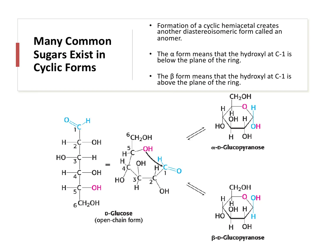 D-glucose shown as the open chain folding into α-D-glucopyranose (C1-OH below the ring) and β-D-glucopyranose (C1-OH above).
