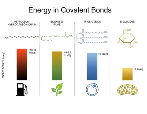 Preview: Energy in covalent bonds