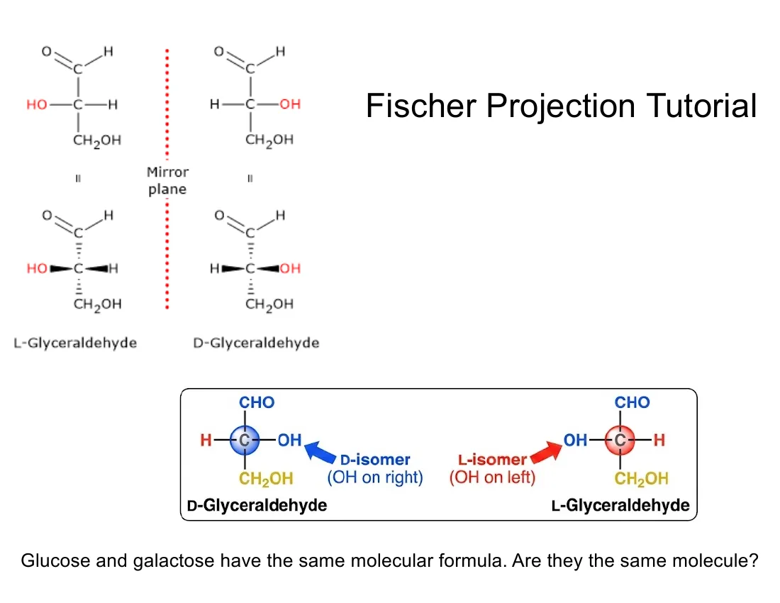 A Fischer-projection tutorial showing D-glyceraldehyde (OH on the right) and its mirror image L-glyceraldehyde (OH on the left).