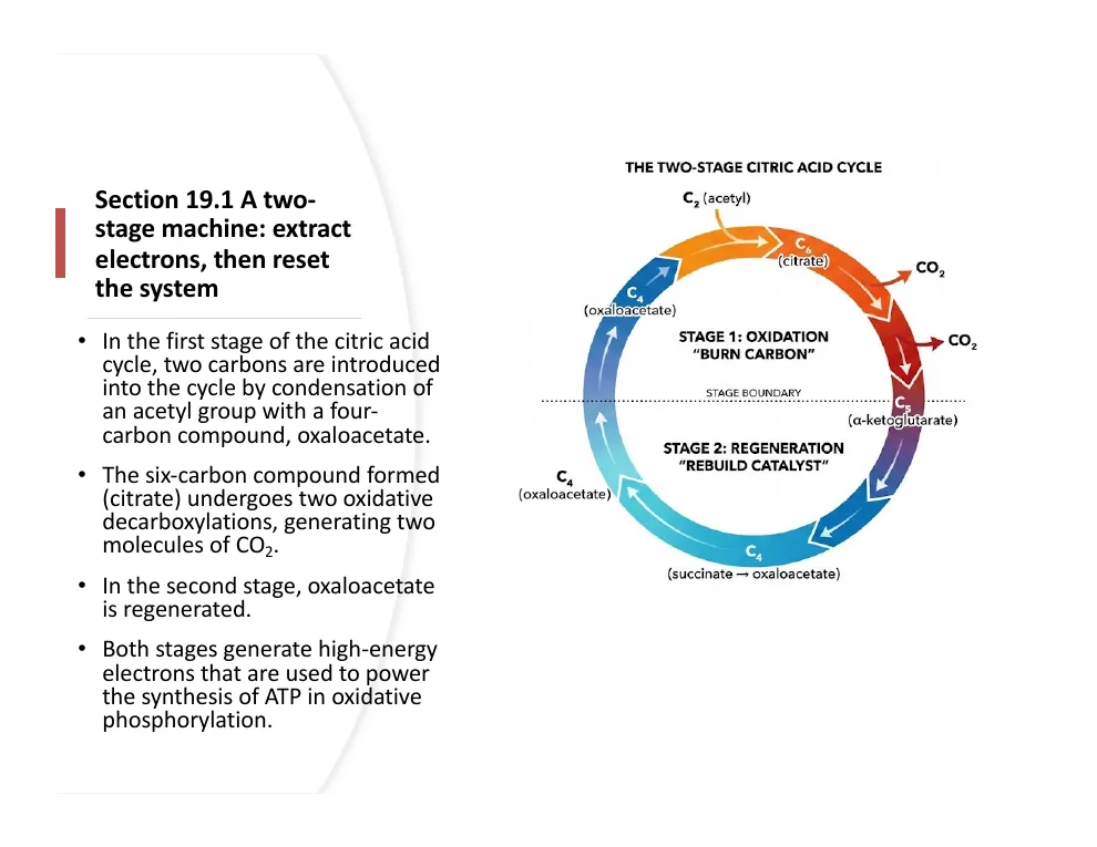 A Two-Stage Machine: Burn, Then Reset