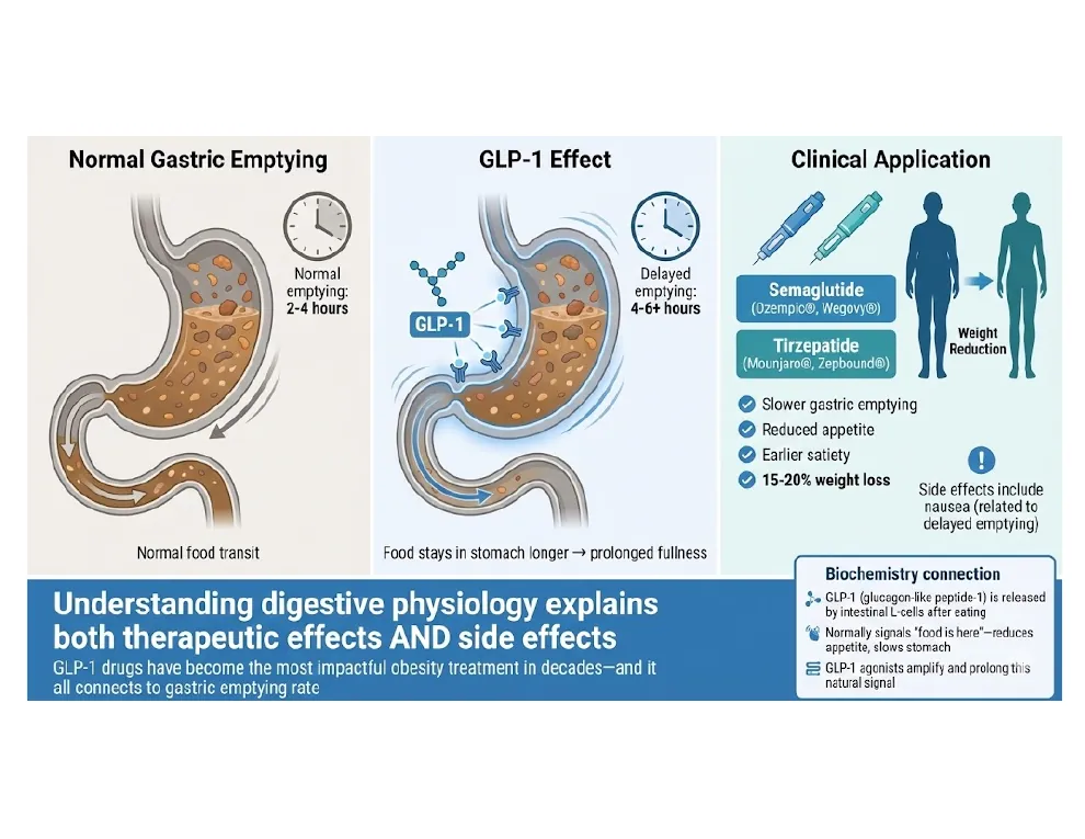 Physiology Explains Both the Cure and the Side Effects