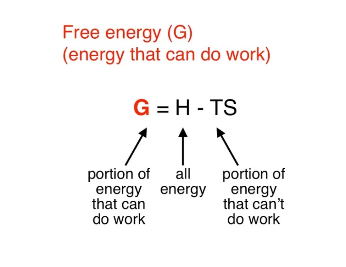 The Gibbs equation G = H − TS with arrows labeling G as the portion of energy that can do work, H as all the energy, and TS as the portion that cannot do work.