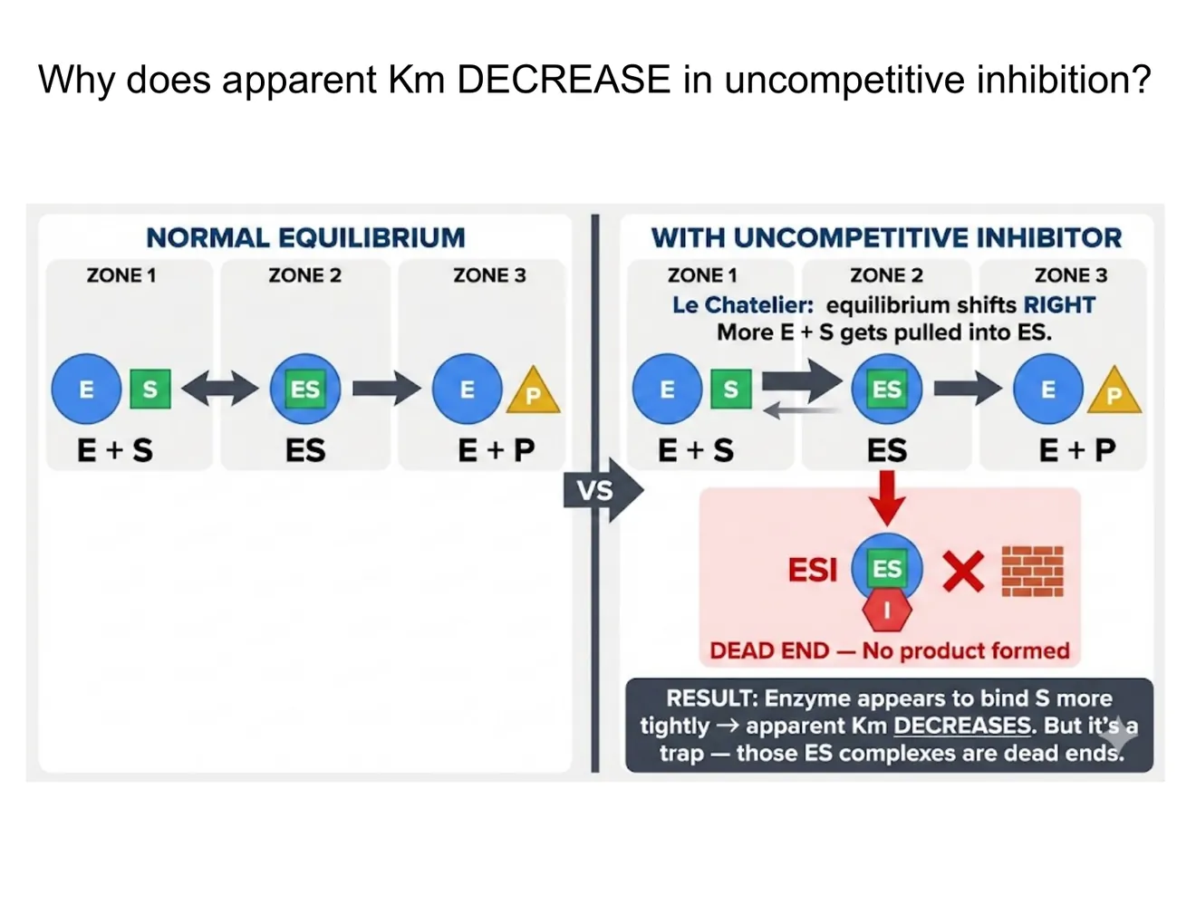 Diagram contrasting normal E+S⇌ES→E+P equilibrium with an uncompetitive inhibitor trapping ES as a dead-end ESI complex.
