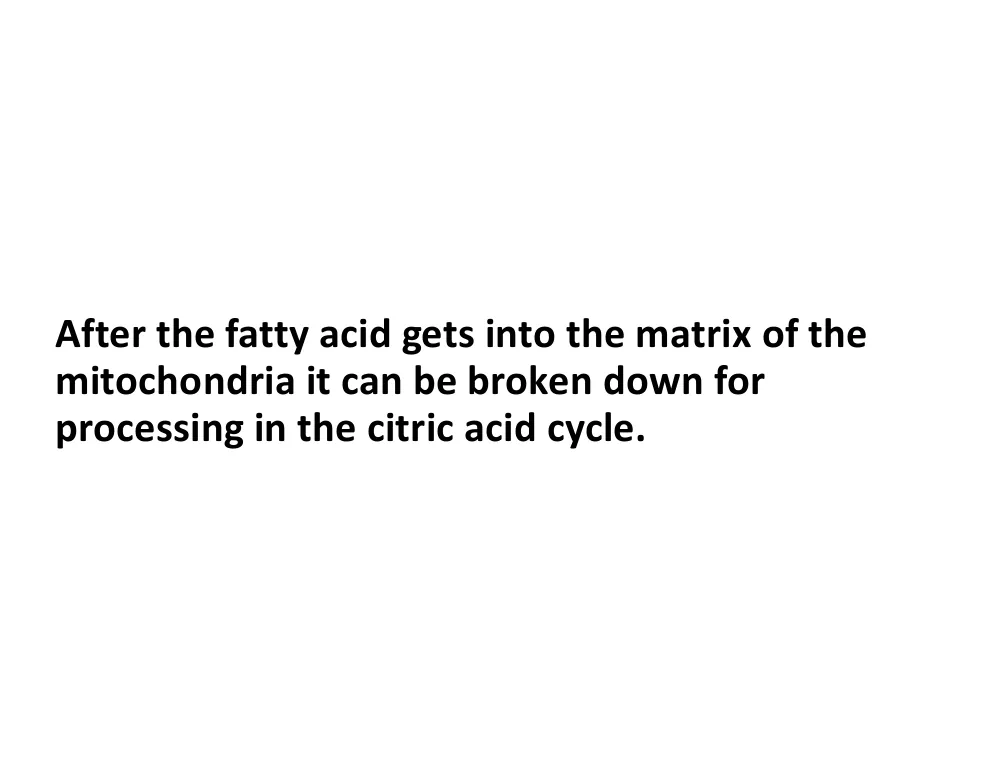 Into the Matrix, On to the Cycle
