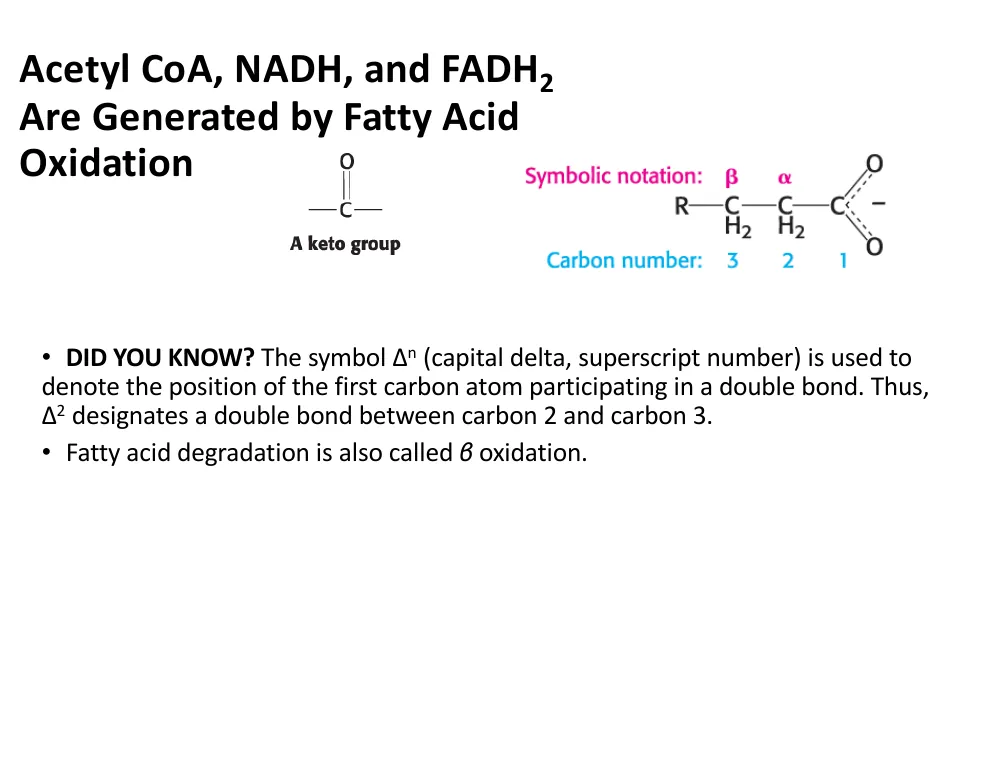 Why It's Called Beta Oxidation