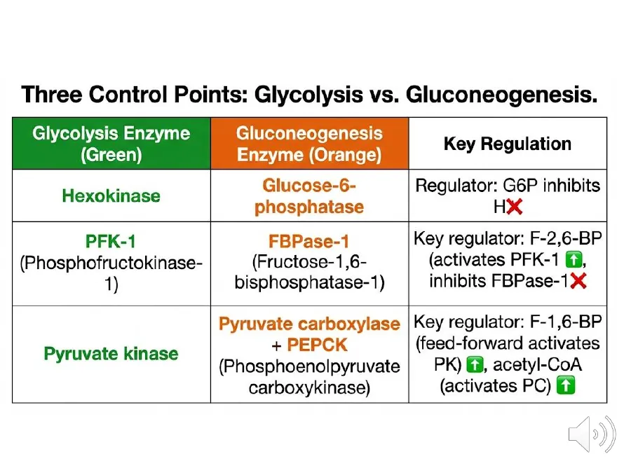 The three reciprocal enzyme pairs — hexokinase/G6Pase, PFK-1/FBPase-1, pyruvate kinase/(PC+PEPCK) — and their key effectors.