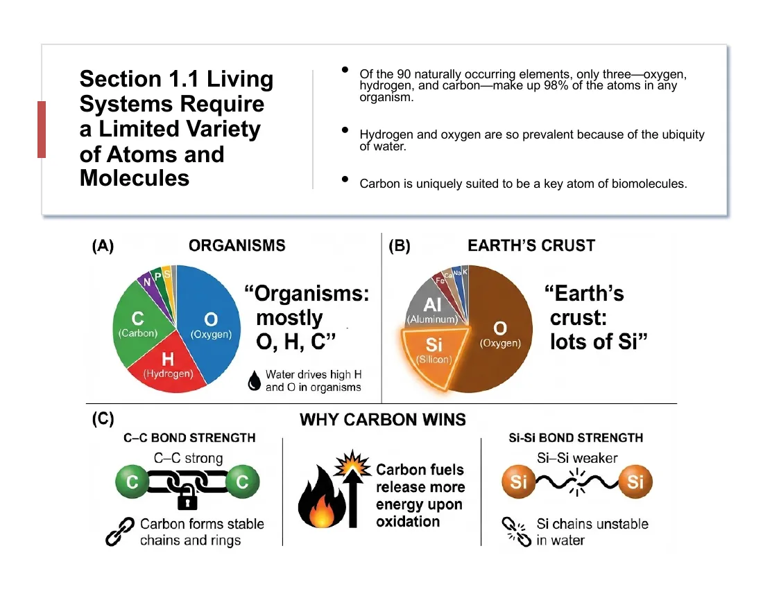 A comparison: organisms are mostly C, H, O while Earth's crust is rich in Si; carbon wins because C–C bonds are stable and CO₂ is a soluble gas, whereas SiO₂ is insoluble quartz.