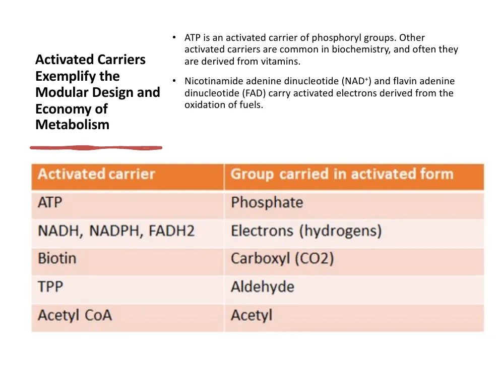 The Activated Carrier Inventory