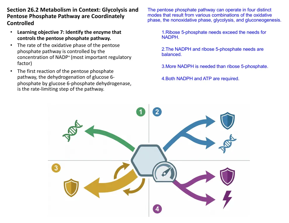 Four Modes of the Pathway