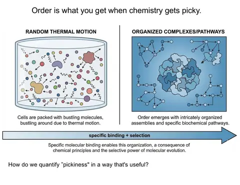 Preview: Order is what you get when chemistry gets picky