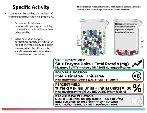 Preview: Specific activity, fold-purification, and yield