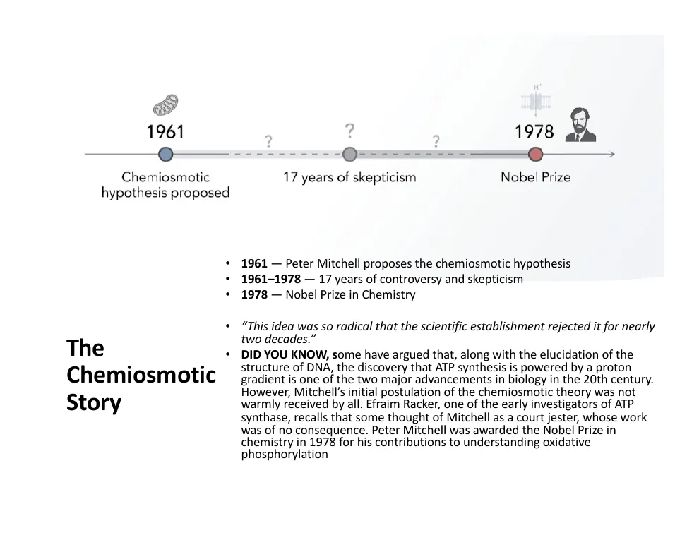 The Chemiosmotic Story: 1961 to 1978