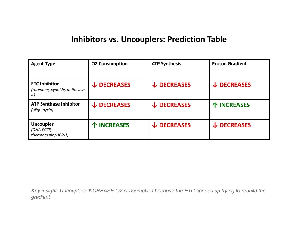 Inhibitors versus Uncouplers Prediction Table