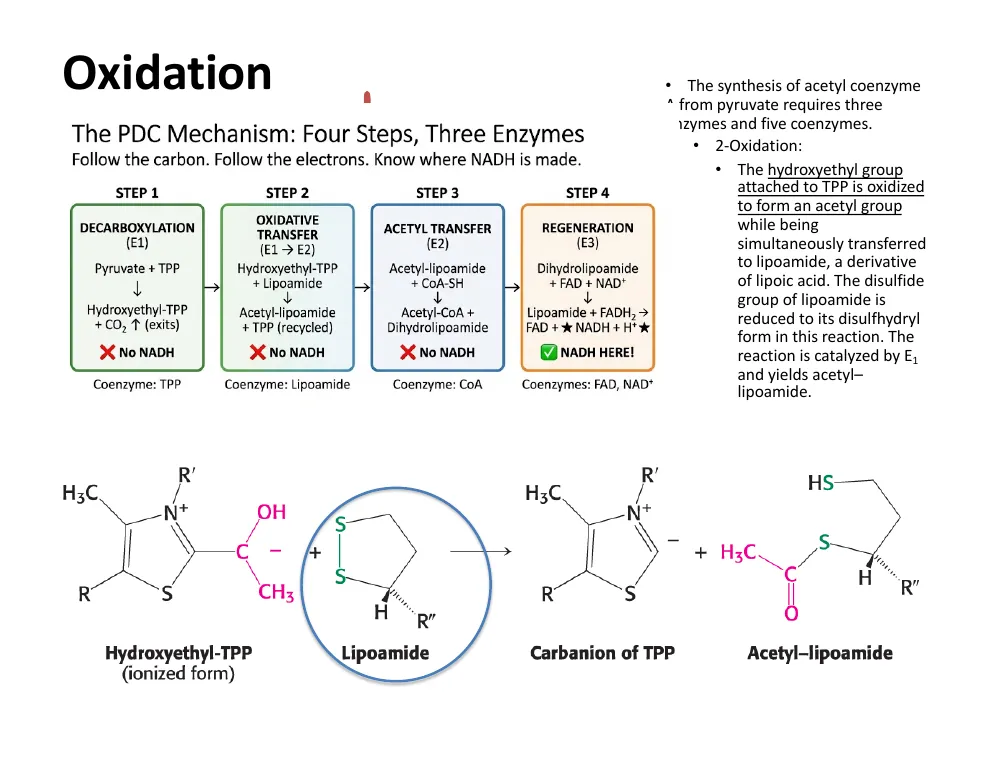 The Four-Step PDC Mechanism
