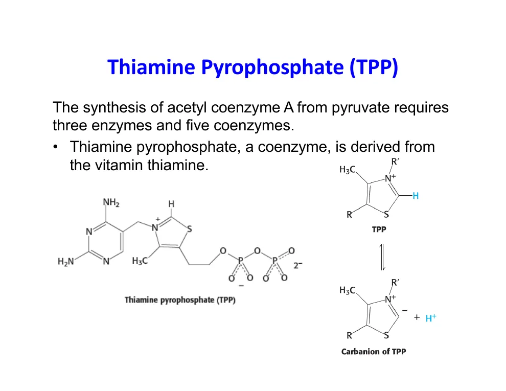 Thiamine Pyrophosphate and Its Carbanion